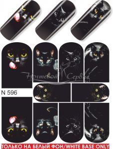 N 596 Чорна Кішка